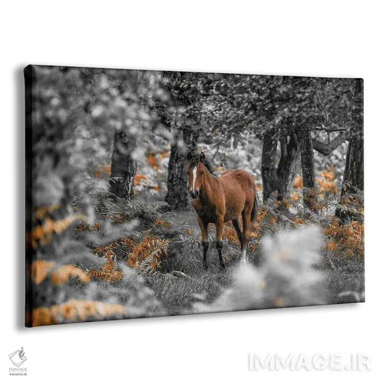 تابلو مسیر اسبسواری اول اثر آصاف فرانک - نمای پرسپکتیو محصول