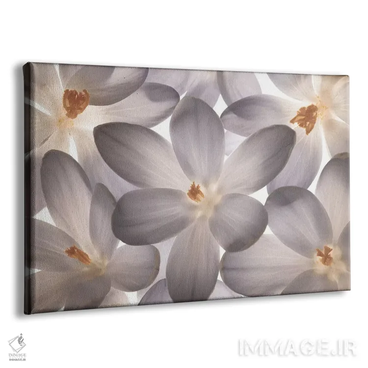 تابلو گلبرگ بینقص اثر آصاف فرانک - نمای پرسپکتیو محصول