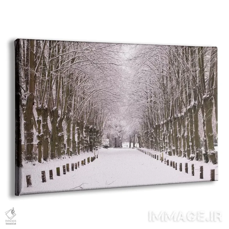 تابلو راهرو زمستان اثر آصاف فرانک - نمای پرسپکتیو محصول