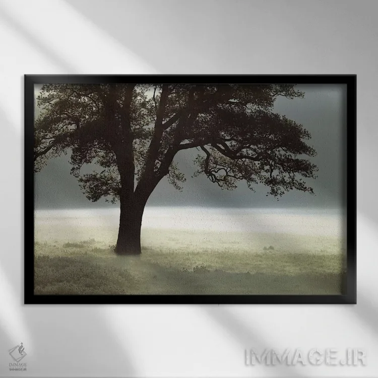 تابلو مرا روشن کن اثر آصاف فرانک - نمای قابدار مشکی