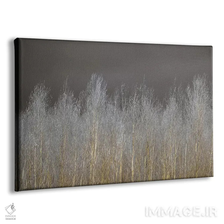 تابلو جنگل نقرهای اثر آصاف فرانک - نمای پرسپکتیو محصول