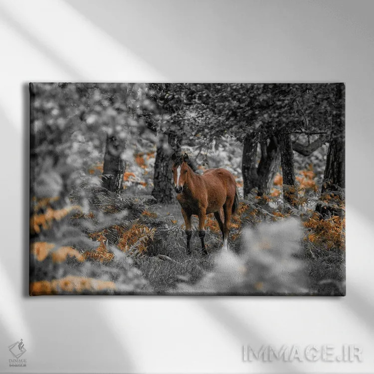 تابلو مسیر اسبسواری اول اثر آصاف فرانک - نمای روبهرو روی دیوار