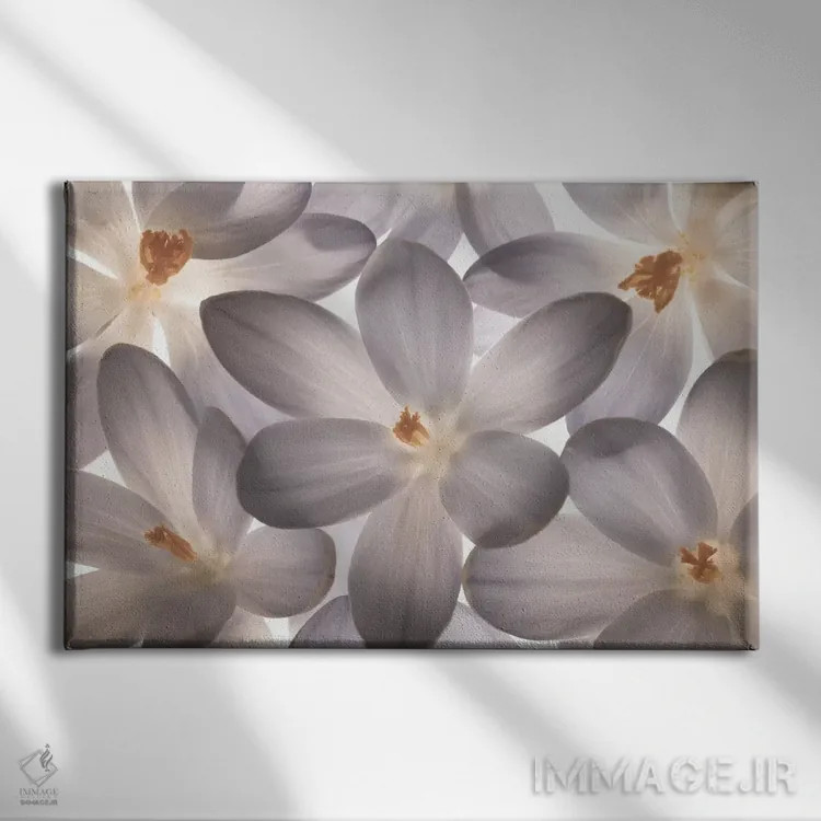 تابلو گلبرگ بینقص اثر آصاف فرانک - نمای روبهرو روی دیوار