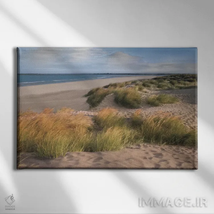 تابلو ساحلهای شنی اثر آصاف فرانک - نمای روبهرو روی دیوار