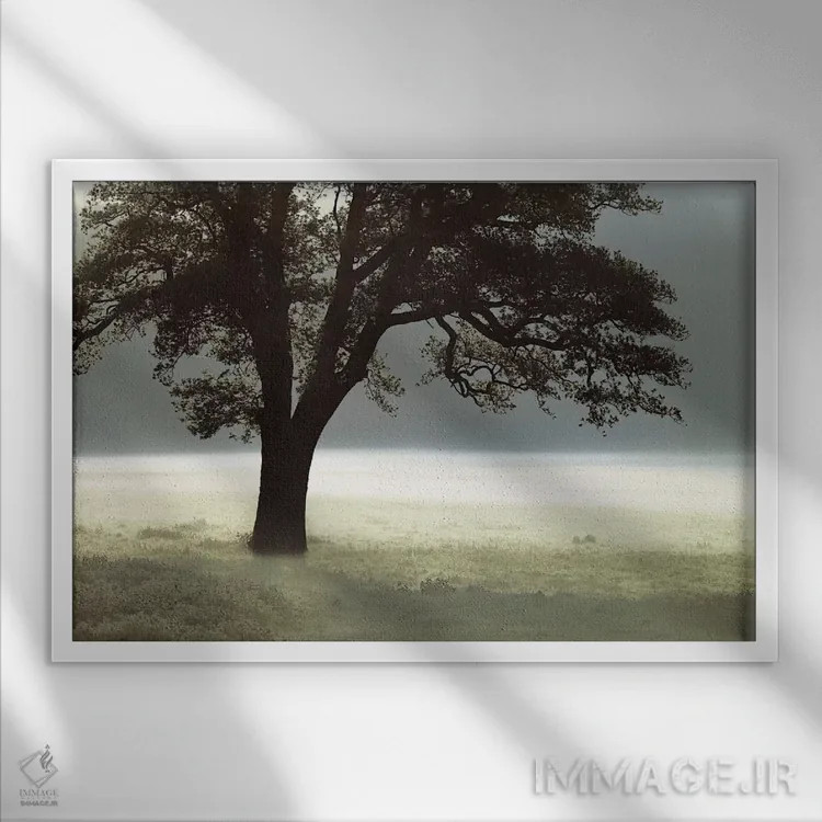 تابلو مرا روشن کن اثر آصاف فرانک - نمای قابدار سفید