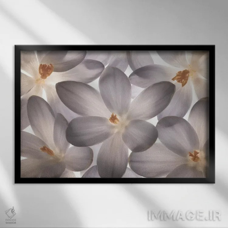 تابلو گلبرگ بینقص اثر آصاف فرانک - نمای قابدار مشکی