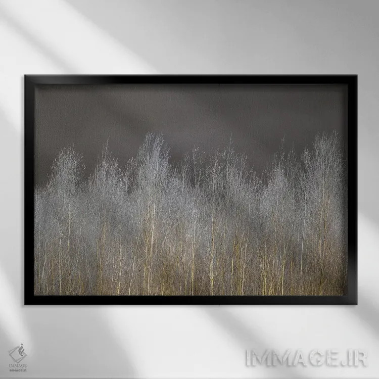 تابلو جنگل نقرهای اثر آصاف فرانک - نمای قابدار مشکی