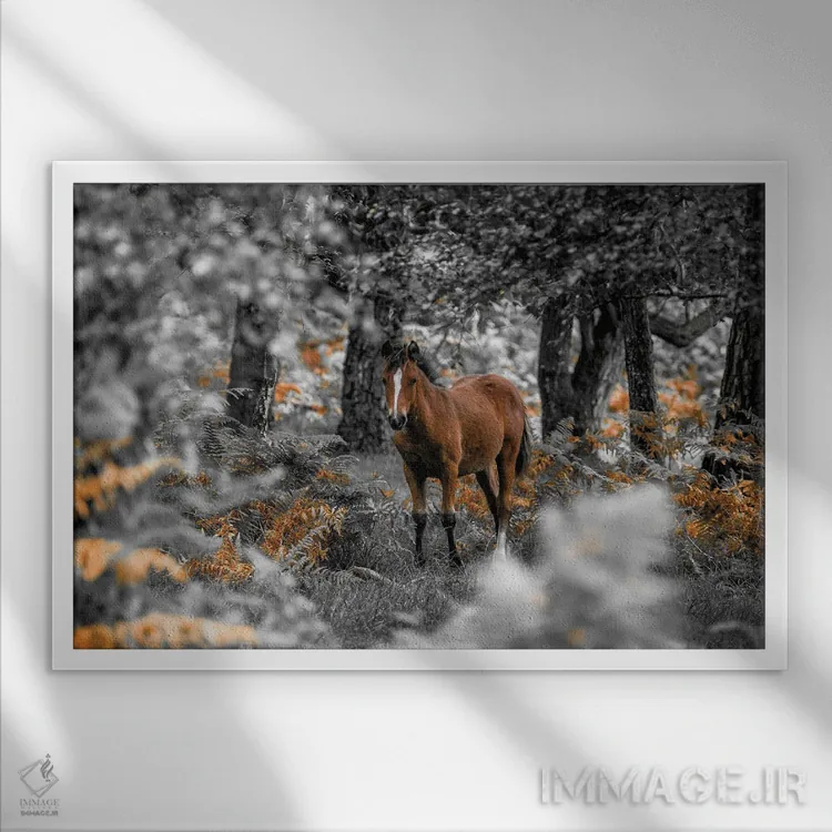 تابلو مسیر اسبسواری اول اثر آصاف فرانک - نمای قابدار سفید