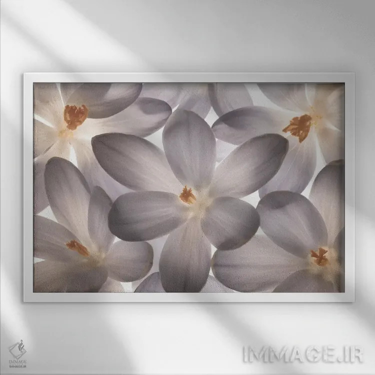 تابلو گلبرگ بینقص اثر آصاف فرانک - نمای قابدار سفید