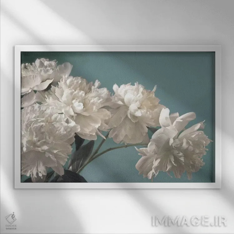 تابلو سفیدبرفی اثر آصاف فرانک - نمای قابدار سفید