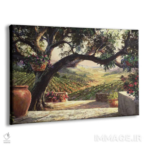 تابلو حیاط ناپا (منطقه ناپا در کالیفرنیا) اثر آرت فرونکوویاک - نمای پرسپکتیو محصول