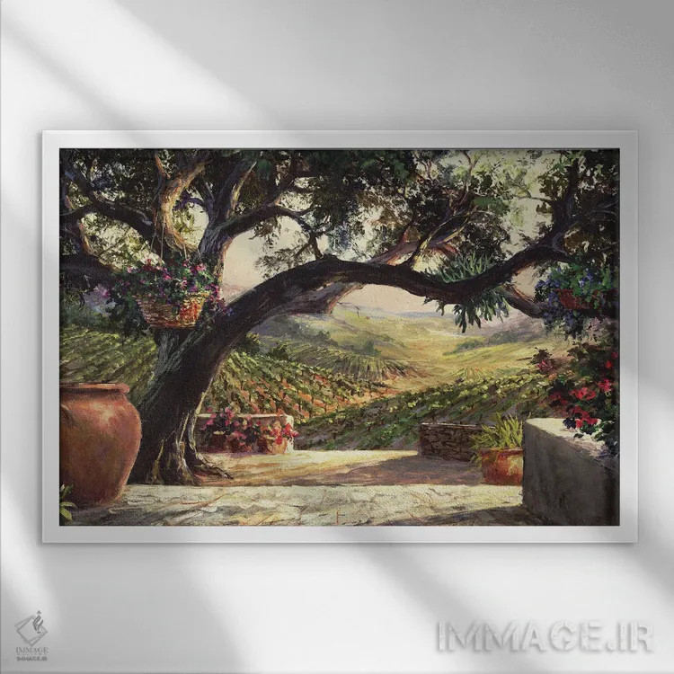 تابلو حیاط ناپا (منطقه ناپا در کالیفرنیا) اثر آرت فرونکوویاک - نمای قابدار سفید