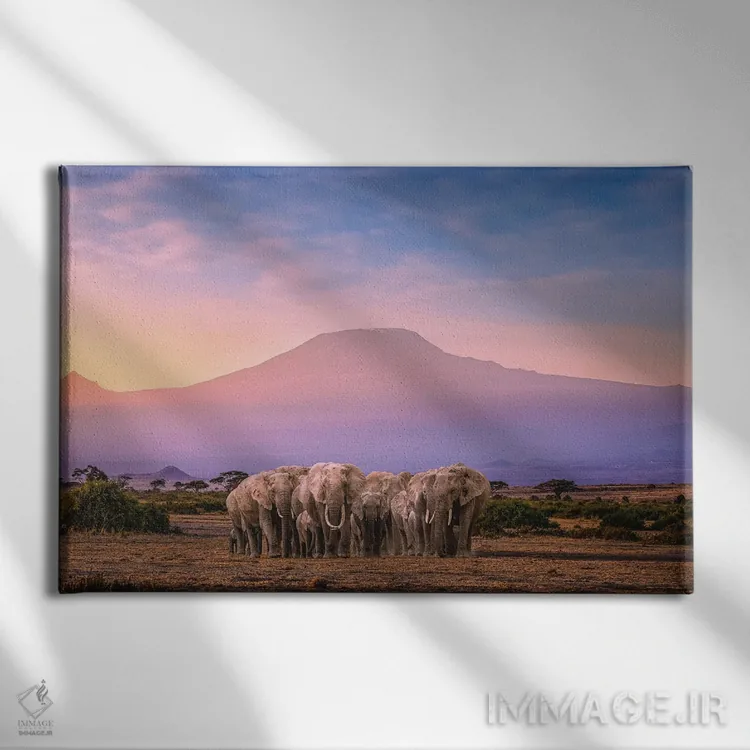 تابلو گله فیلهای آفریقا با کوه کلیمانجارو اثر الکس جی پرز - نمای روبهرو روی دیوار