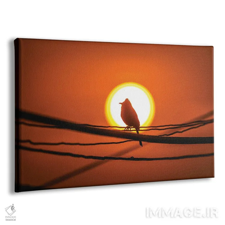 تابلو پرنده نپالی در پرتوی غروب اثر الکس جی پرز - نمای پرسپکتیو محصول