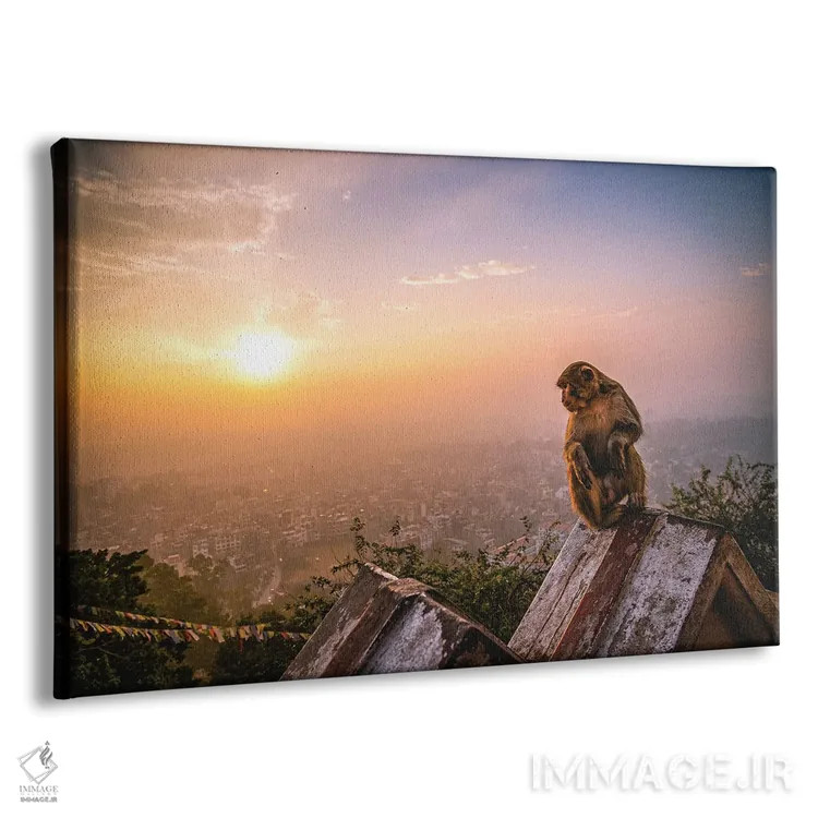 تابلو غروب معبد نپال؛ پرتره میمون اثر الکس جی پرز - نمای پرسپکتیو محصول