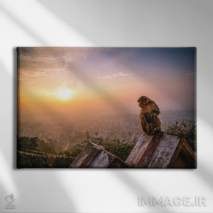 تابلو غروب معبد نپال؛ پرتره میمون اثر الکس جی پرز - نمای روبهرو روی دیوار