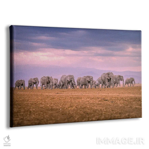 تابلو پرتره گله فیلهای عظیم آفریقا (قسمت دوم) اثر الکس جی پرز - نمای پرسپکتیو محصول