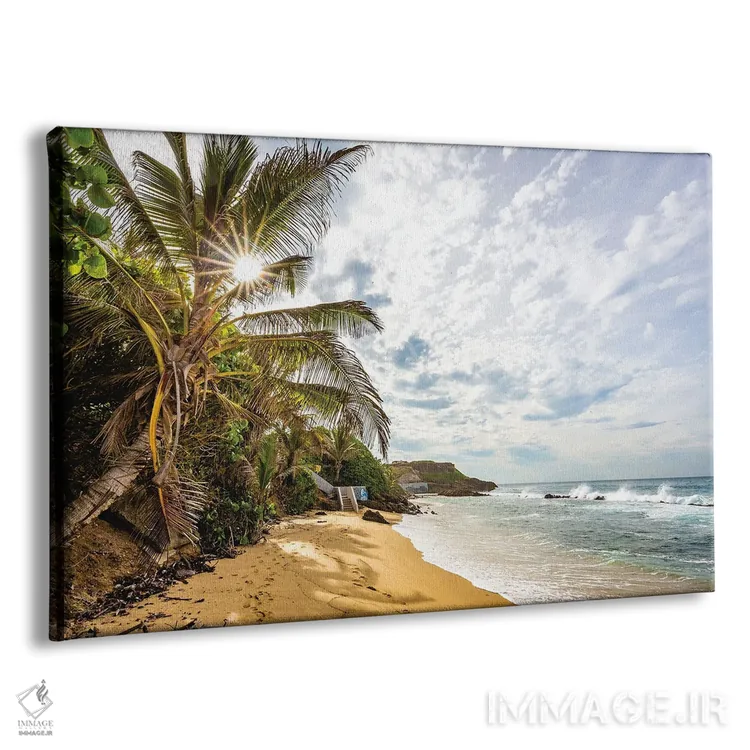 تابلو ساحل پورتوریکو اثر الکس جی پرز - نمای پرسپکتیو محصول