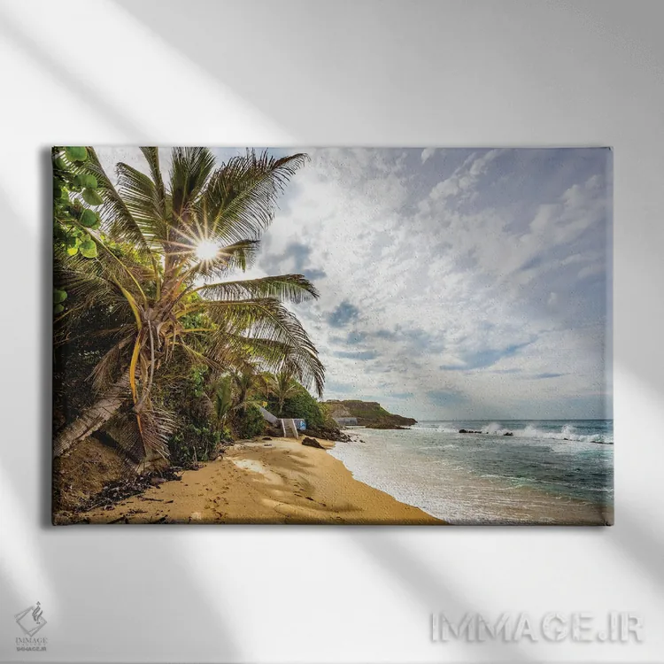 تابلو ساحل پورتوریکو اثر الکس جی پرز - نمای روبهرو روی دیوار