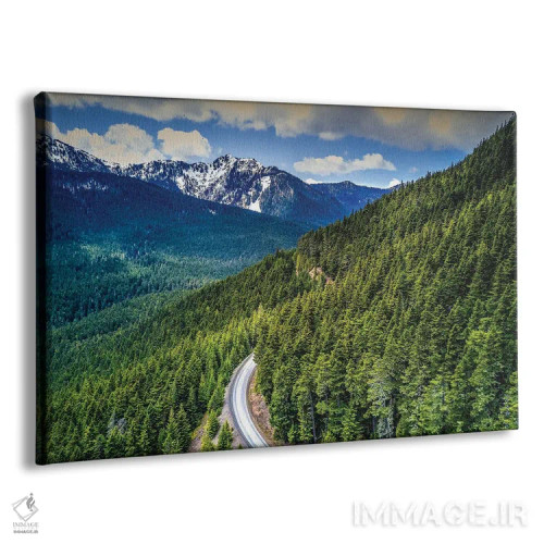 تابلو جاده جنگلی در پارک ملی المپیک، واشنگتن اثر الکس جی پرز - نمای پرسپکتیو محصول