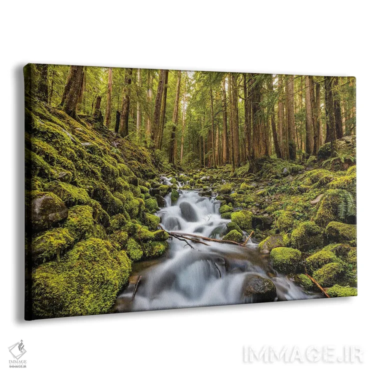 تابلو آبشار جنگلی پارک ملی المپیک، واشنگتن (۲) اثر الکس جی پرز - نمای پرسپکتیو محصول