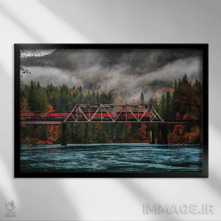 تابلو برگهای پاییزی در پارک ملی المپیک، واشنگتن (۱) اثر الکس جی پرز - نمای قابدار مشکی