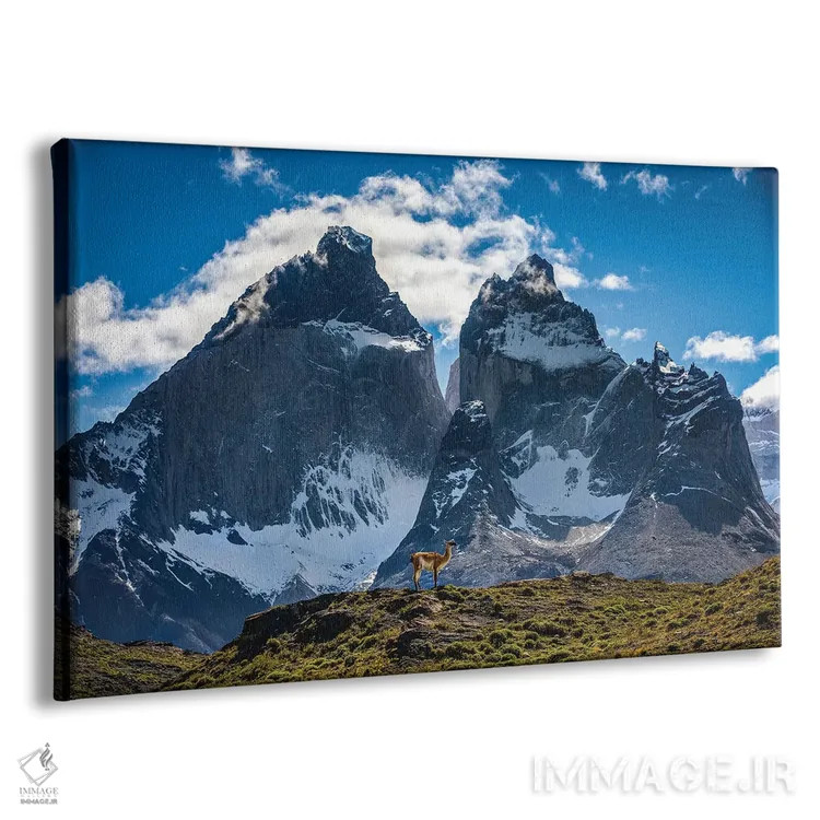تابلو مناظر کوهستانی توریس دل پاین، پاتاگونیا، شیلی (۱) اثر الکس جی پرز - نمای پرسپکتیو محصول