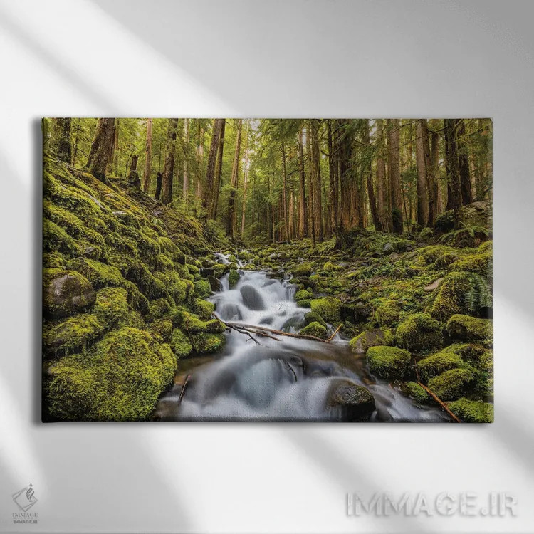 تابلو آبشار جنگلی پارک ملی المپیک، واشنگتن (۲) اثر الکس جی پرز - نمای روبهرو روی دیوار