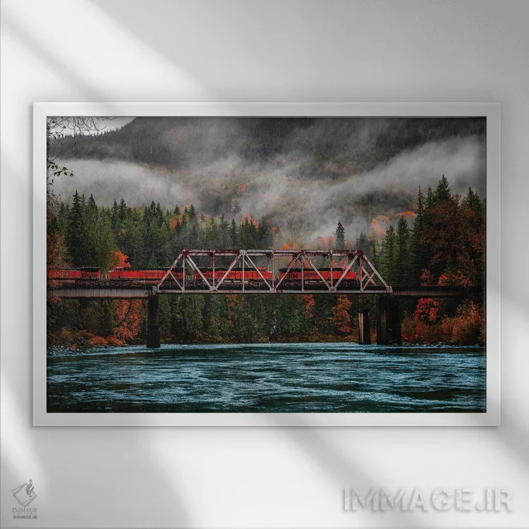 تابلو برگهای پاییزی در پارک ملی المپیک، واشنگتن (۱) اثر الکس جی پرز - نمای قابدار سفید