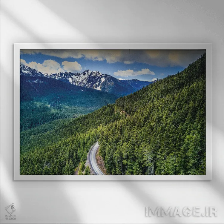 تابلو جاده جنگلی در پارک ملی المپیک، واشنگتن اثر الکس جی پرز - نمای قابدار سفید