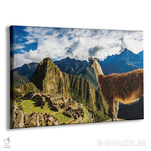 تابلو لاما در ماچو پیچو، پرو در حال تماشای منظره اثر الکس جی پرز - نمای پرسپکتیو محصول