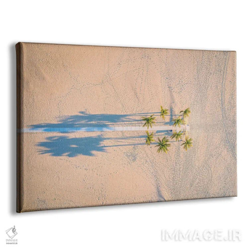 تابلو ساحل ماسه سفید فلوریدا و درخت نخل (۴) اثر الکس جی پرز - نمای پرسپکتیو محصول