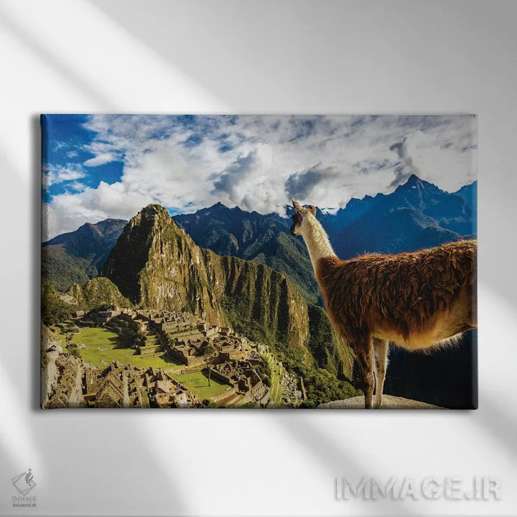 تابلو لاما در ماچو پیچو، پرو در حال تماشای منظره اثر الکس جی پرز - نمای روبهرو روی دیوار