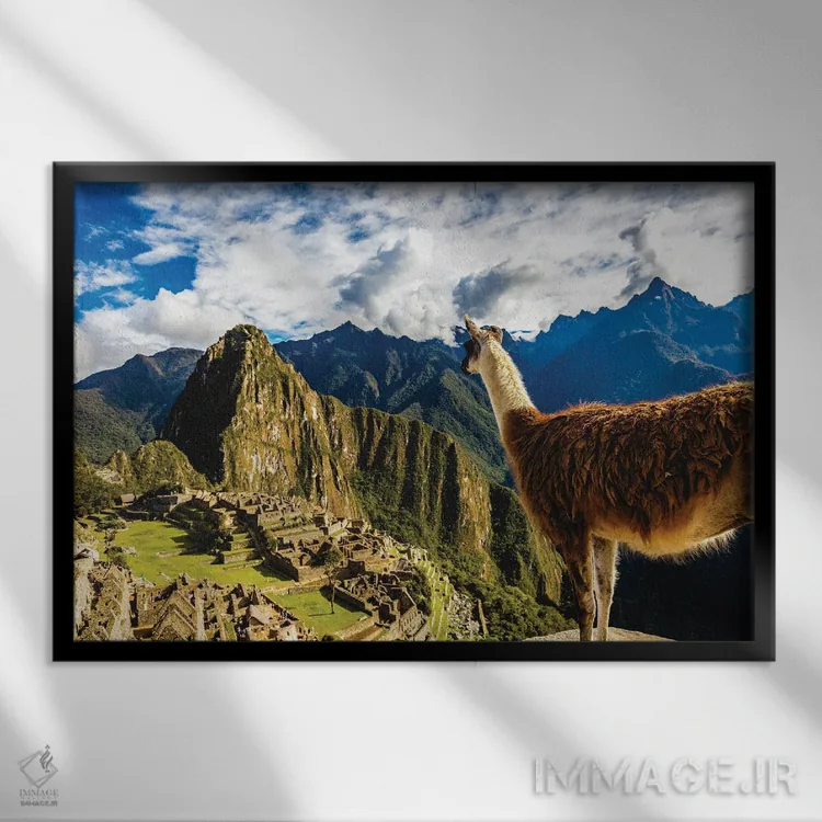 تابلو لاما در ماچو پیچو، پرو در حال تماشای منظره اثر الکس جی پرز - نمای قابدار مشکی