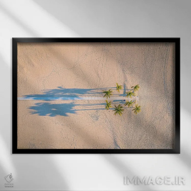 تابلو ساحل ماسه سفید فلوریدا و درخت نخل (۴) اثر الکس جی پرز - نمای قابدار مشکی