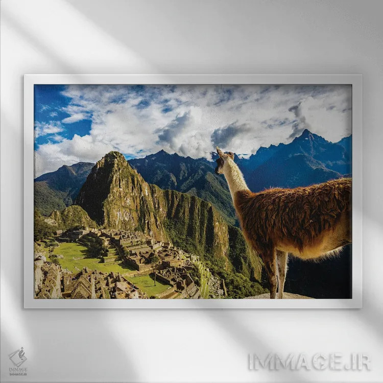تابلو لاما در ماچو پیچو، پرو در حال تماشای منظره اثر الکس جی پرز - نمای قابدار سفید