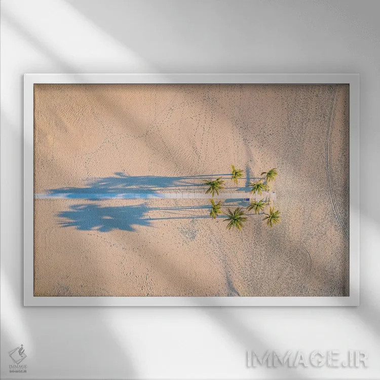 تابلو ساحل ماسه سفید فلوریدا و درخت نخل (۴) اثر الکس جی پرز - نمای قابدار سفید