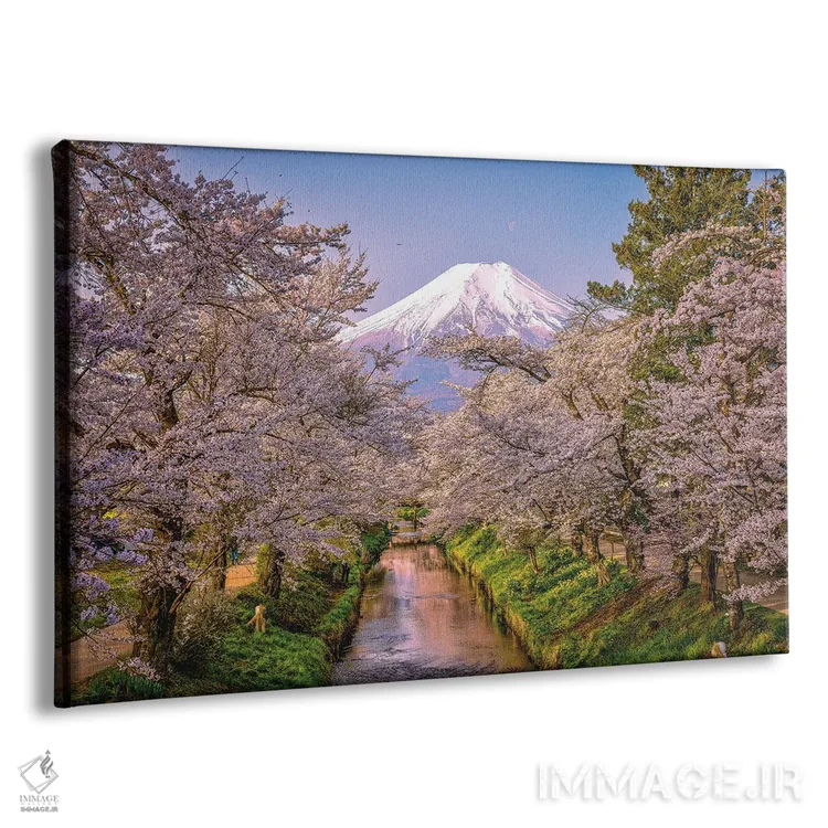 تابلو نگاه به بالای رودخانه شیناشو، شکوفههای گیلاس و کوه فوجی (۳) اثر الکس جی پرز - نمای پرسپکتیو محصول