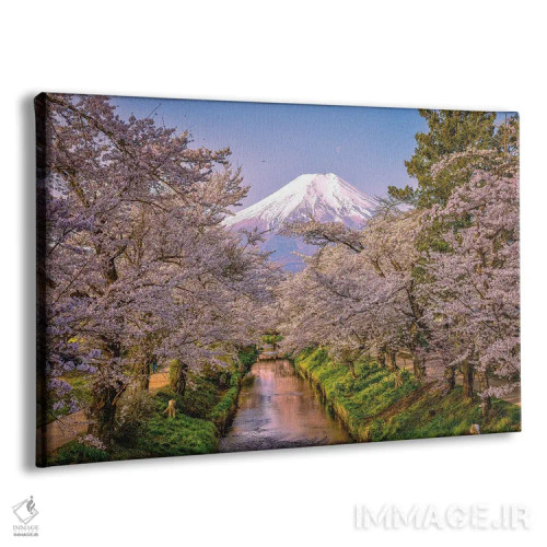 تابلو نگاه به بالای رودخانه شیناشو، شکوفههای گیلاس و کوه فوجی (۳) اثر الکس جی پرز - نمای پرسپکتیو محصول