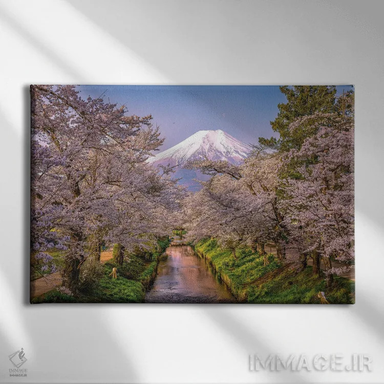 تابلو نگاه به بالای رودخانه شیناشو، شکوفههای گیلاس و کوه فوجی (۳) اثر الکس جی پرز - نمای روبهرو روی دیوار