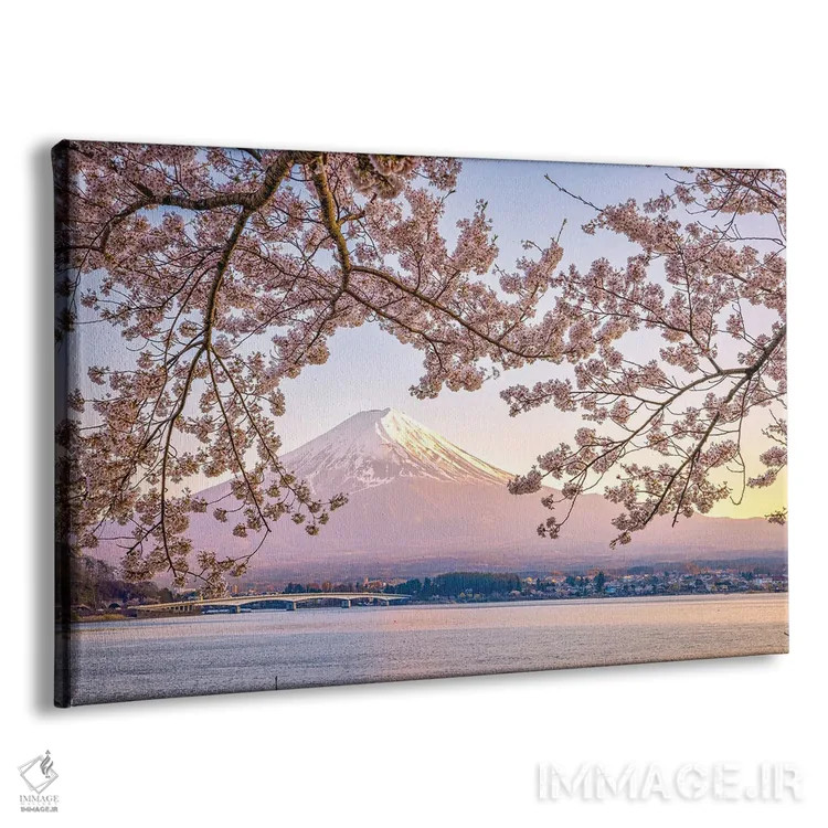 تابلو Lake Kawaguchi I,منظره کوه فوجی از میان درختان شکوفه گیلاس کنار دریاچه کاواگوچی (۱) اثر الکس جی پرز - نمای پرسپکتیو محصول