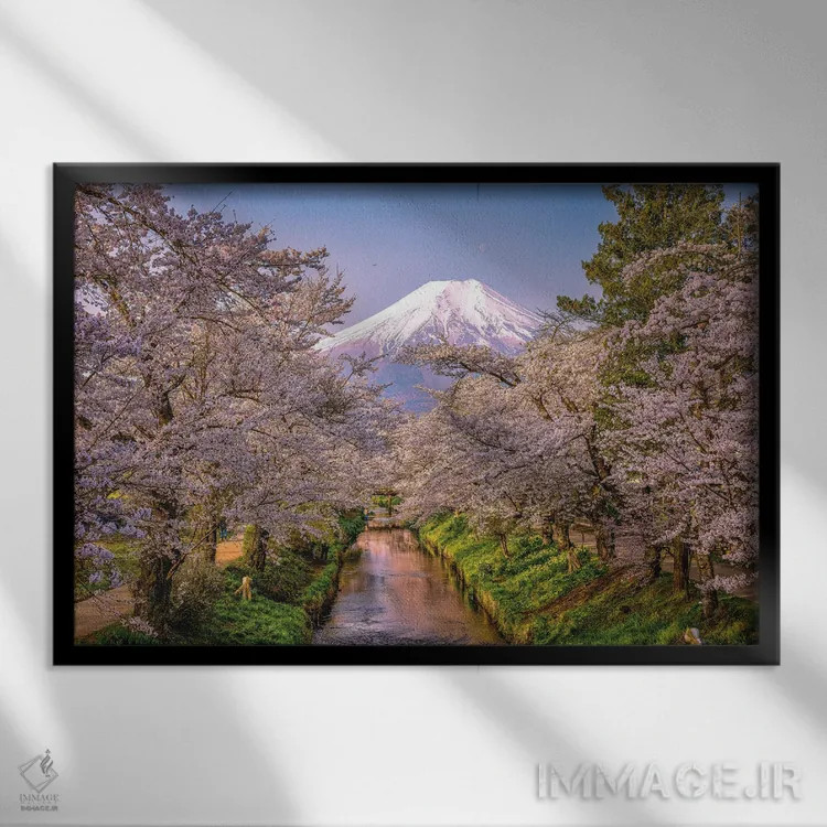 تابلو نگاه به بالای رودخانه شیناشو، شکوفههای گیلاس و کوه فوجی (۳) اثر الکس جی پرز - نمای قابدار مشکی