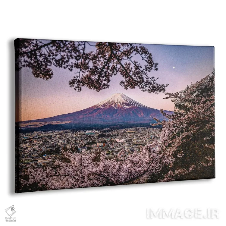 تابلو Lake Kawaguchi III,منظره کوه فوجی از میان درختان شکوفه گیلاس کنار دریاچه کاواگوچی (۳) اثر الکس جی پرز - نمای پرسپکتیو محصول