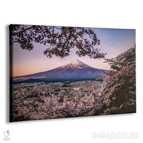 تابلو Lake Kawaguchi III,منظره کوه فوجی از میان درختان شکوفه گیلاس کنار دریاچه کاواگوچی (۳) اثر الکس جی پرز - نمای پرسپکتیو محصول