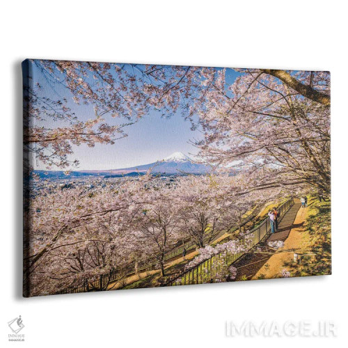 تابلو Lake Kawaguchi V,منظره کوه فوجی از میان درختان شکوفه گیلاس کنار دریاچه کاواگوچی (۵) اثر الکس جی پرز - نمای پرسپکتیو محصول