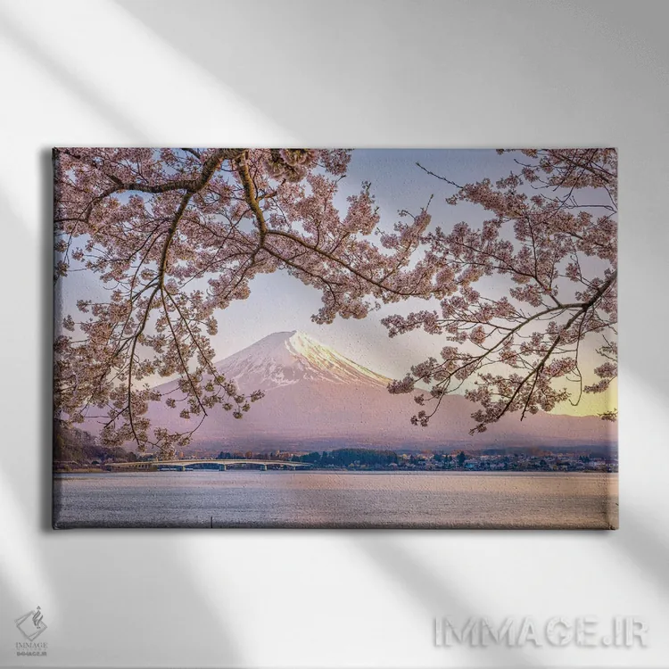 تابلو Lake Kawaguchi I,منظره کوه فوجی از میان درختان شکوفه گیلاس کنار دریاچه کاواگوچی (۱) اثر الکس جی پرز - نمای روبهرو روی دیوار