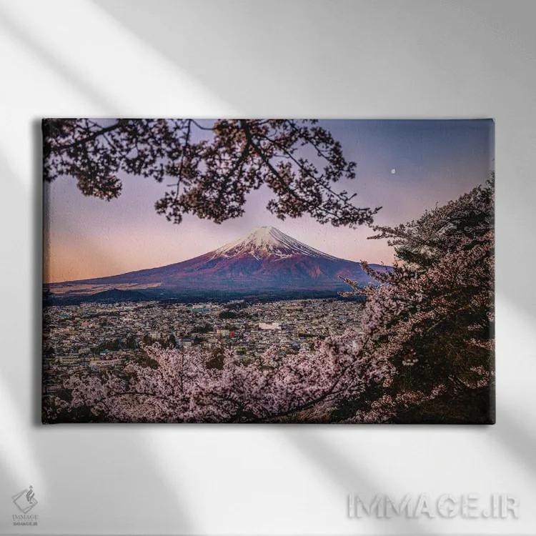 تابلو Lake Kawaguchi III,منظره کوه فوجی از میان درختان شکوفه گیلاس کنار دریاچه کاواگوچی (۳) اثر الکس جی پرز - نمای روبهرو روی دیوار