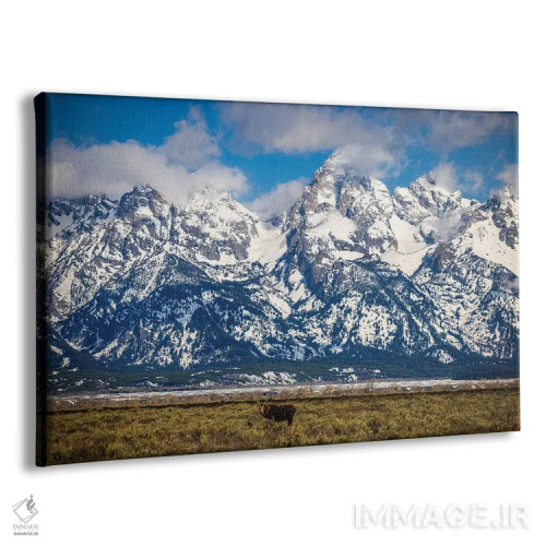 تابلو گوزن بزرگ تنها در کوههای تیتون اثر الکس جی پرز - نمای پرسپکتیو محصول