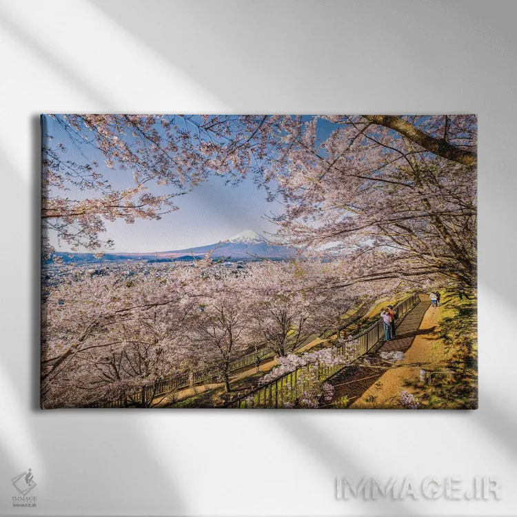 تابلو Lake Kawaguchi V,منظره کوه فوجی از میان درختان شکوفه گیلاس کنار دریاچه کاواگوچی (۵) اثر الکس جی پرز - نمای روبهرو روی دیوار