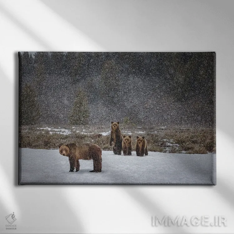 تابلو خانواده خرس گریزلی در کوههای بزرگ تیتون (۱) اثر الکس جی پرز - نمای روبهرو روی دیوار